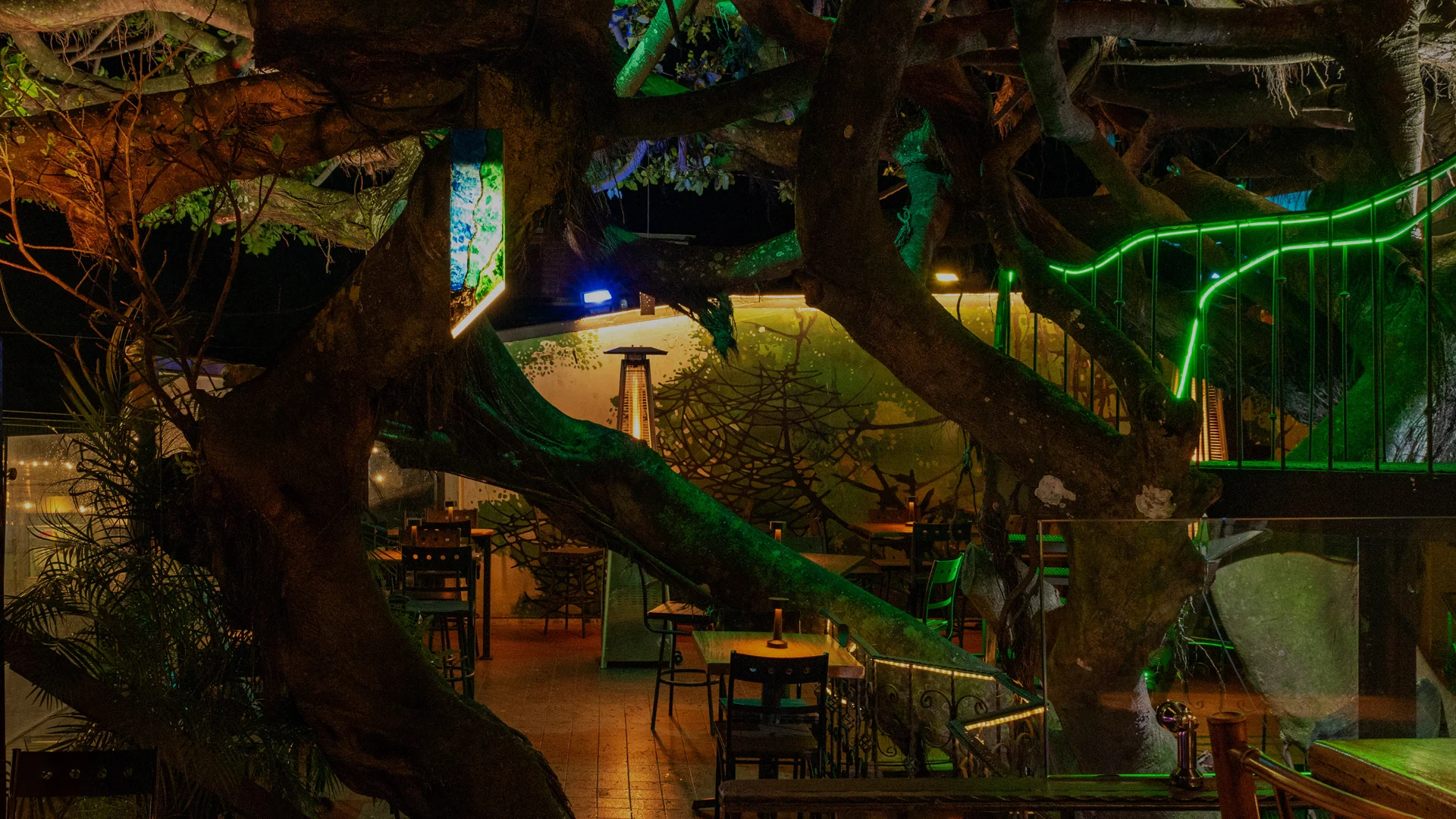 Dinner ambiance with tables and candles at Tree House restaurant in Monteverde
