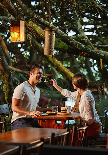 Couple dining at lunch under the ficus tree at Tree House restaurant in Monteverde