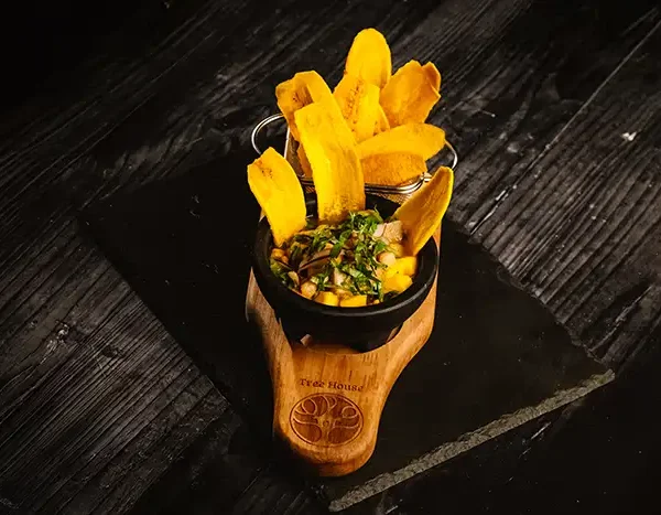 ceviche. Restaurante Tree House, Monteverde, Costa Rica 84